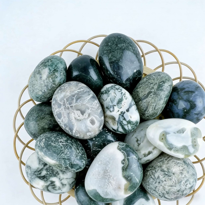 Natural Moss Agate Crushed Sto - مراجعة Echeveria Succulent وسعره