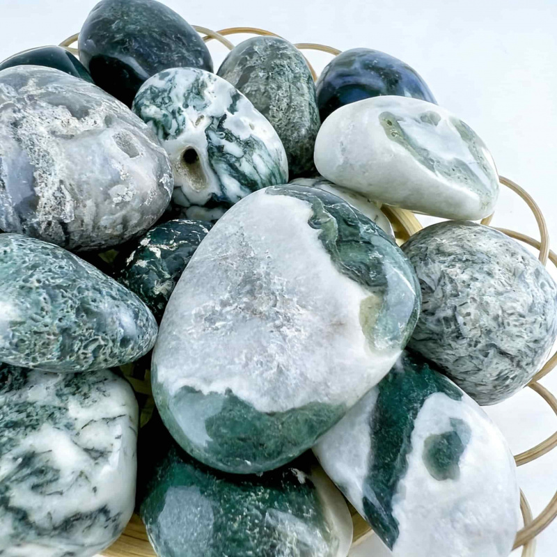 Natural Moss Agate Crushed Sto - مراجعة Echeveria Succulent وسعره