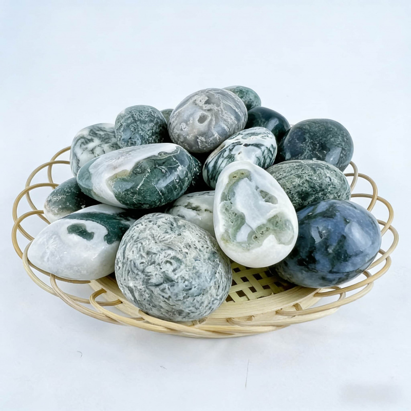 Natural Moss Agate Crushed Sto - مراجعة Echeveria Succulent وسعره