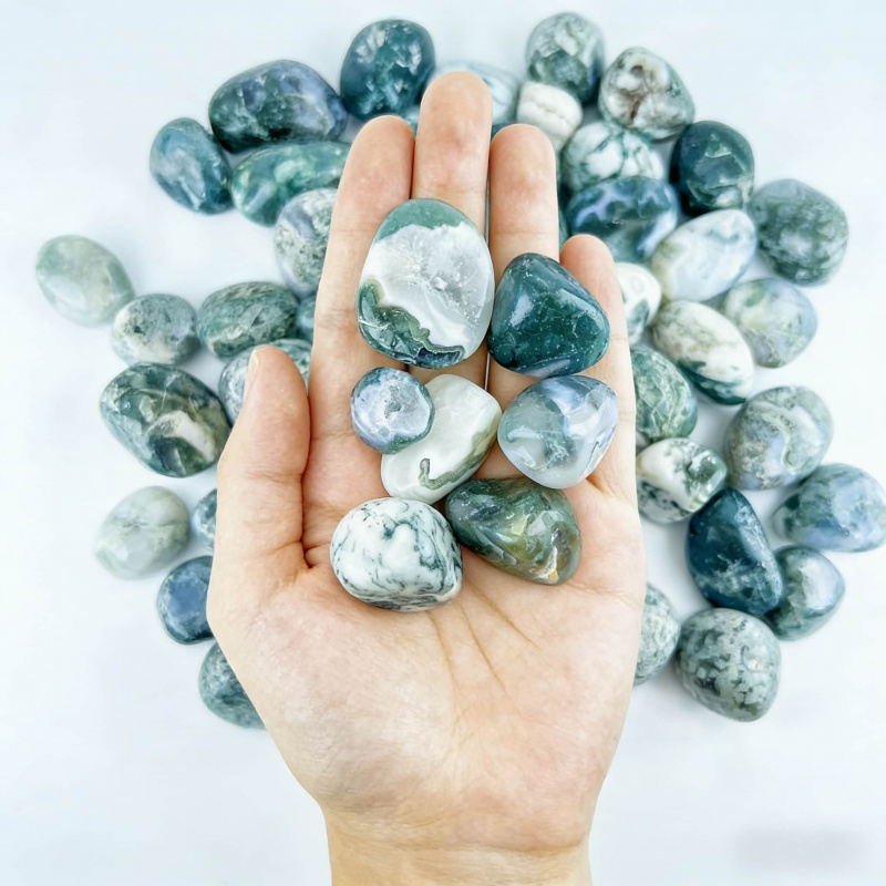 Natural Moss Agate Crushed Sto - مراجعة Echeveria Succulent وسعره