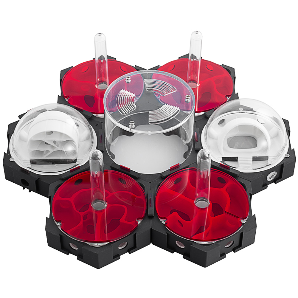 3D Printing Ant Nest Infinitel - مراجعة Begonia Rex وسعره
