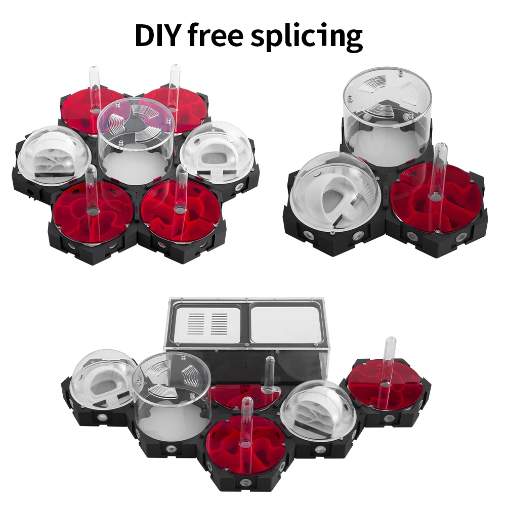 3D Printing Ant Nest Infinitel - مراجعة Begonia Rex وسعره