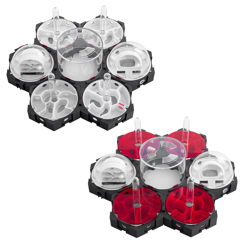 3D Printing Ant Nest Infinitel - مراجعة Begonia Rex وسعره