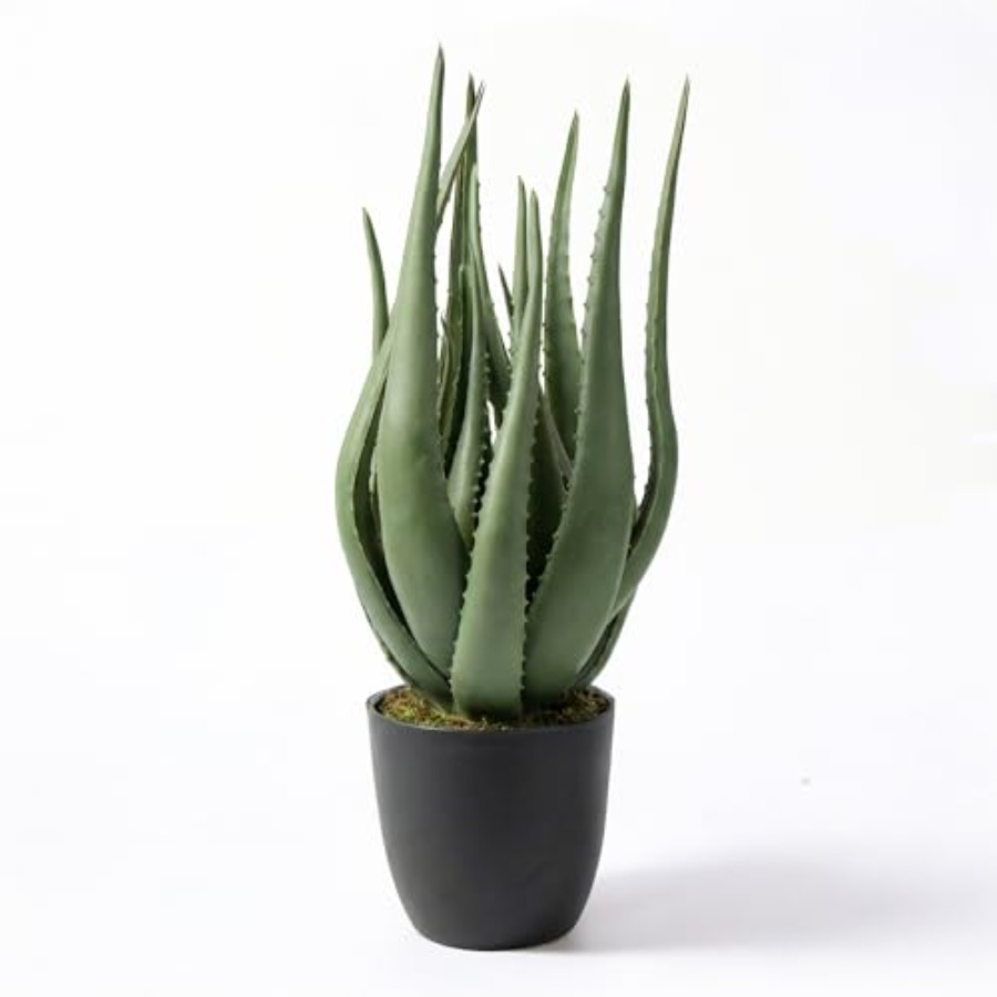 Large Potted Artificial Aloe V - مراجعة Aloe Vera Pot وسعره