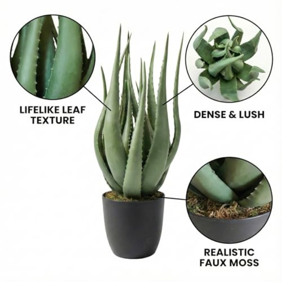 Large Potted Artificial Aloe V - مراجعة Aloe Vera Pot وسعره