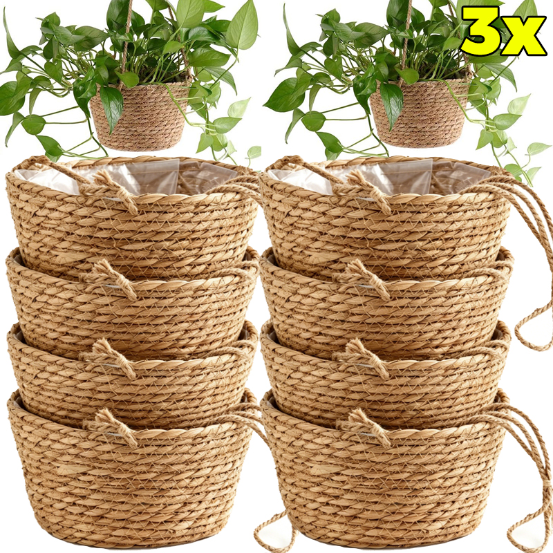 1/3x Rope Hanging Planter Bask - مراجعة Spider Plant Hanging وسعره