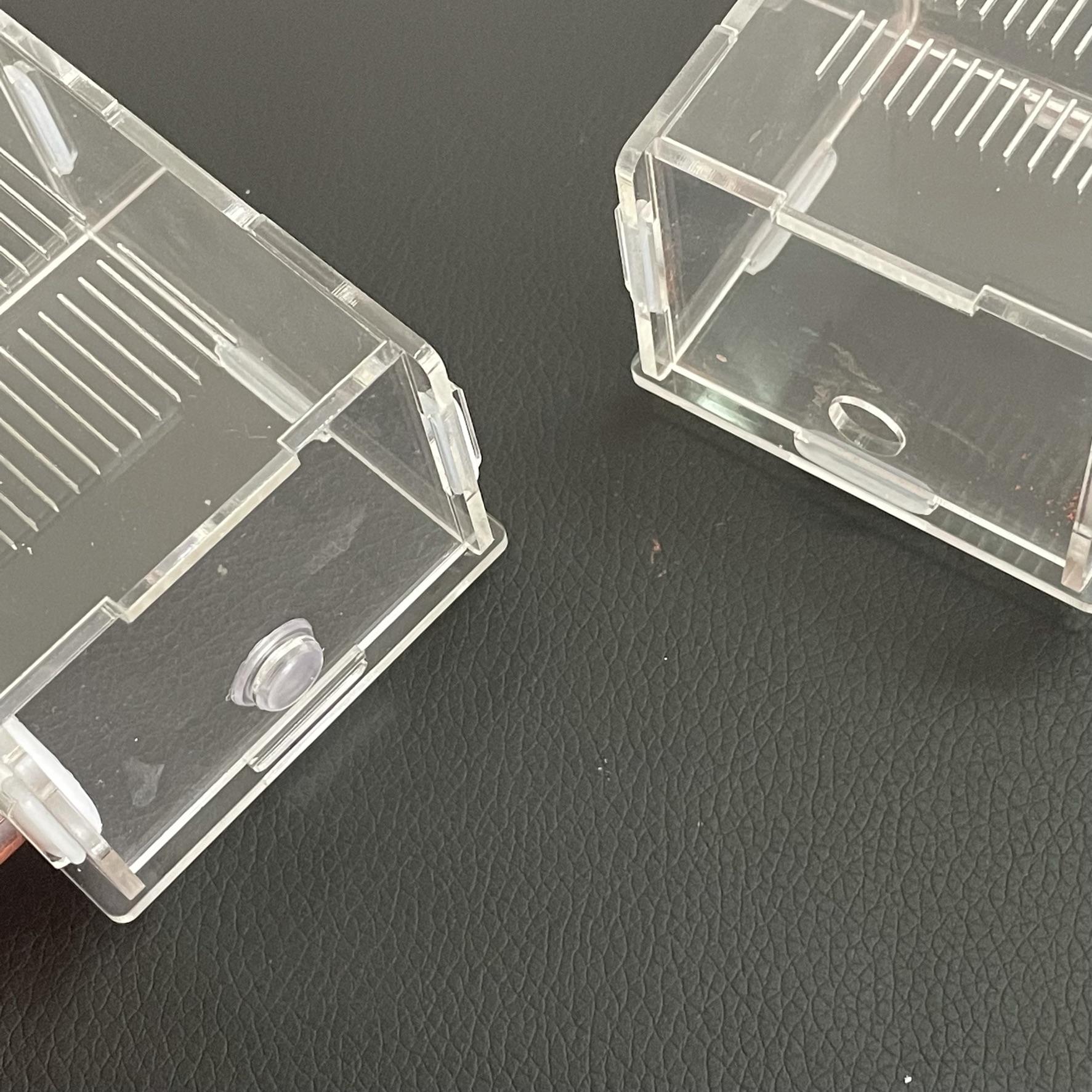 15-150mm Gypsum Test Tube Nest - مراجعة Begonia Rex وسعره