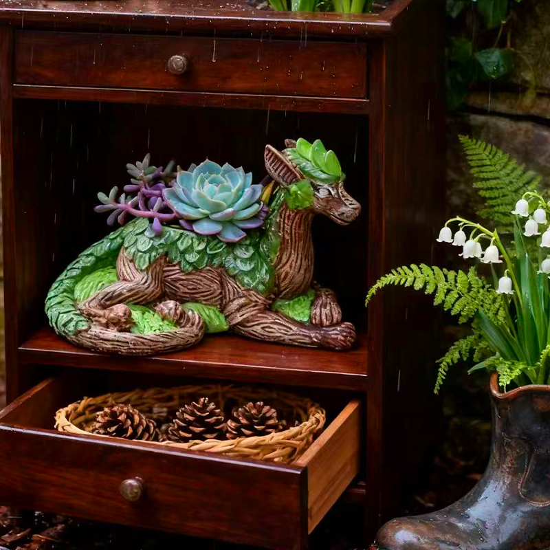 Creative Dragon Tree Flower Po - مراجعة Echeveria Succulent وسعره