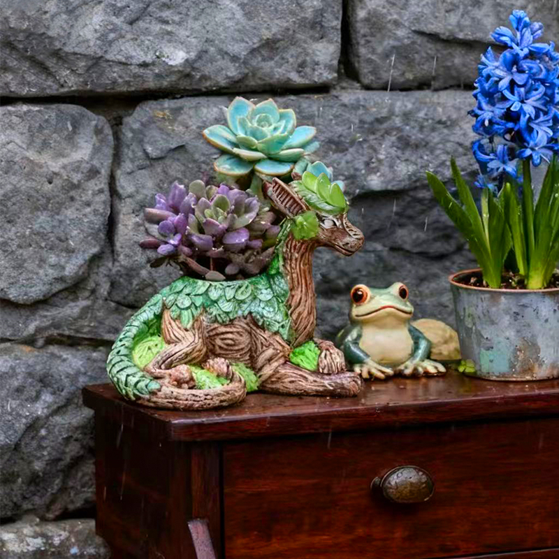 Creative Dragon Tree Flower Po - مراجعة Echeveria Succulent وسعره