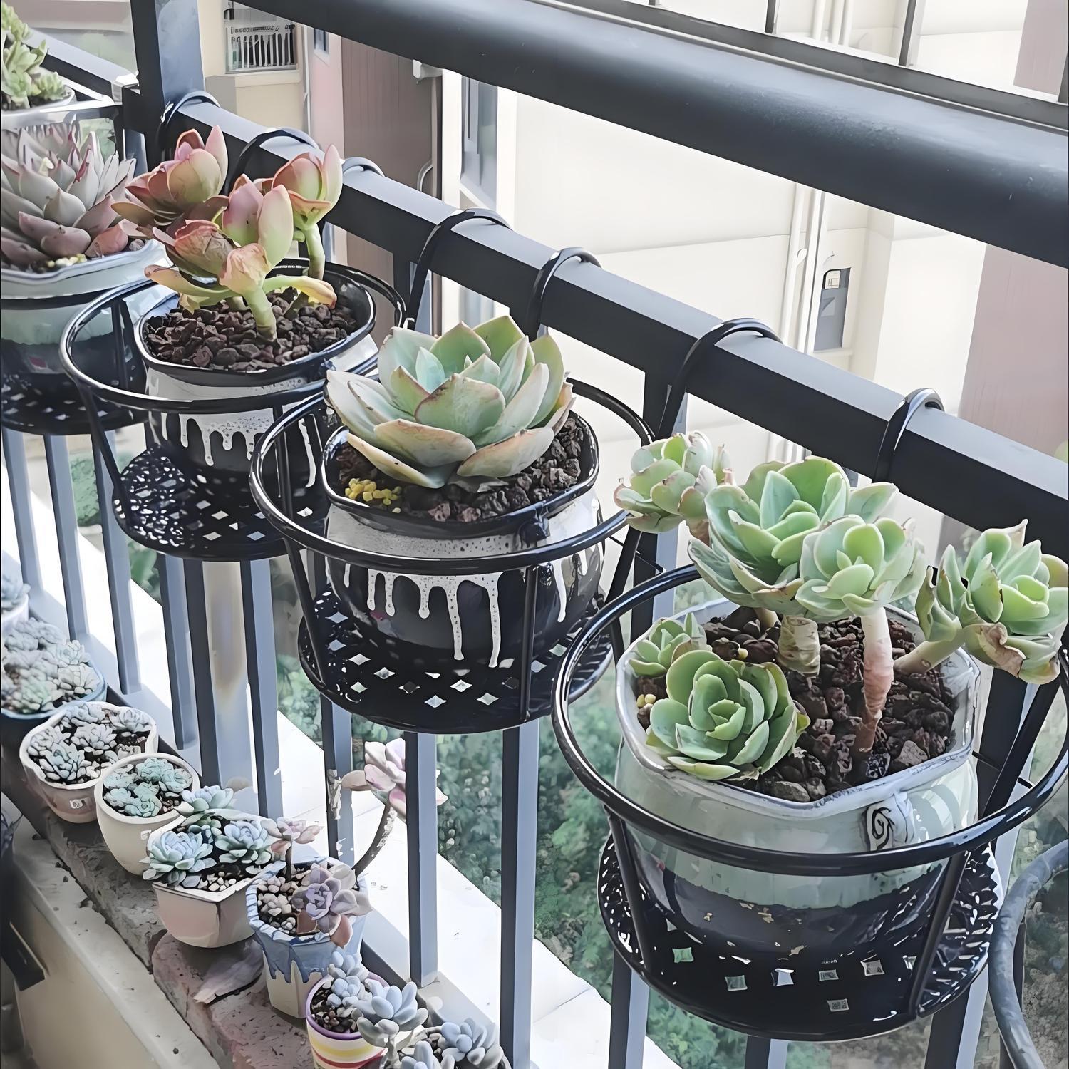 Wrought Iron Balcony Hanging F - مراجعة Spider Plant Hanging وسعره