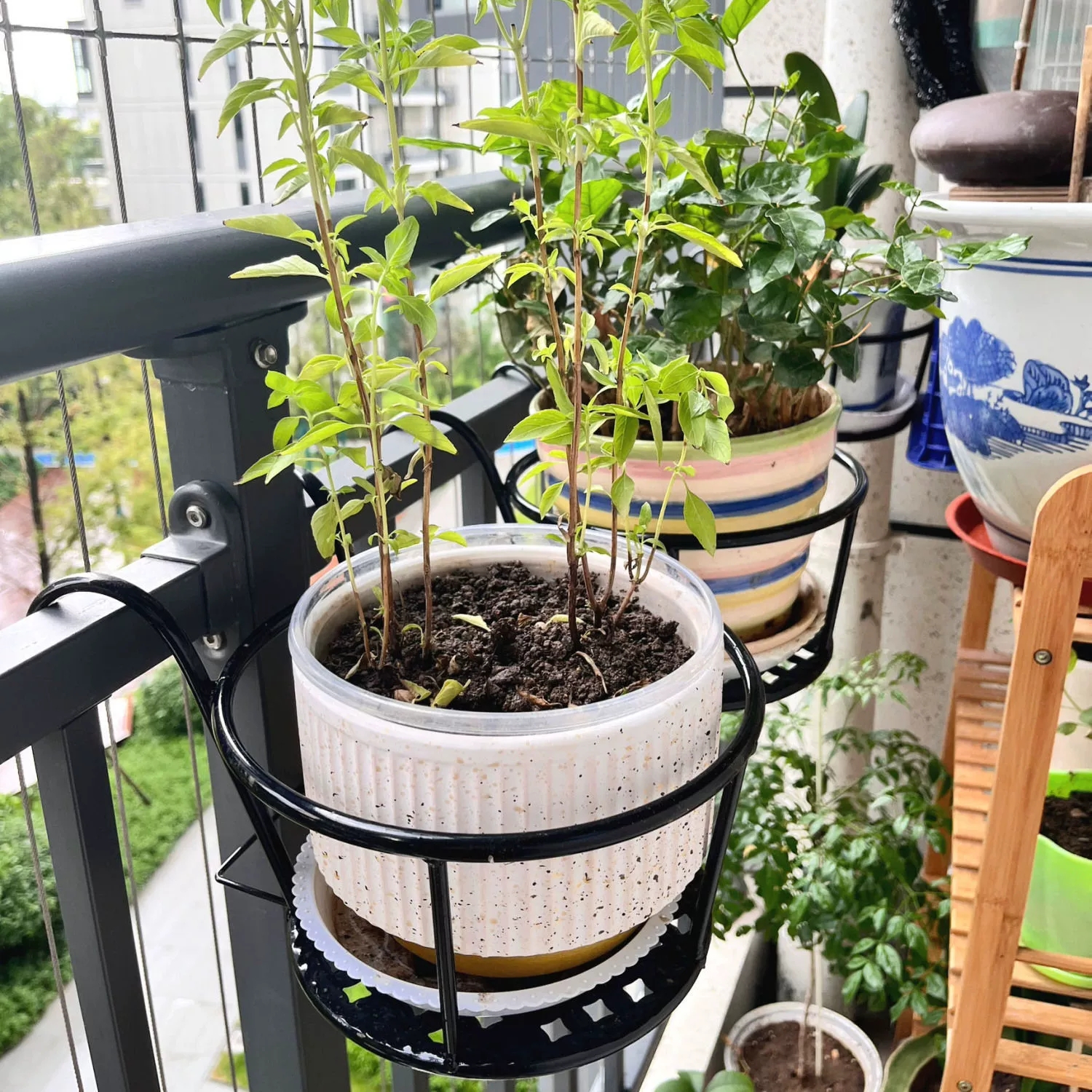 Wrought Iron Balcony Hanging F - مراجعة Spider Plant Hanging وسعره