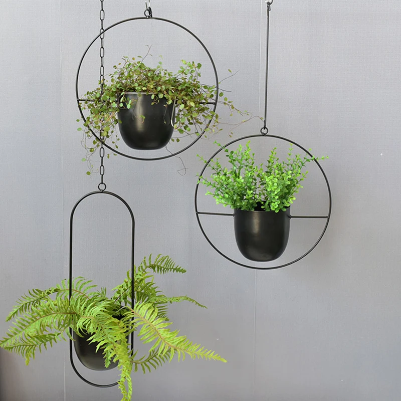 Wrought Iron Hanging Planter E - مراجعة Spider Plant Hanging وسعره