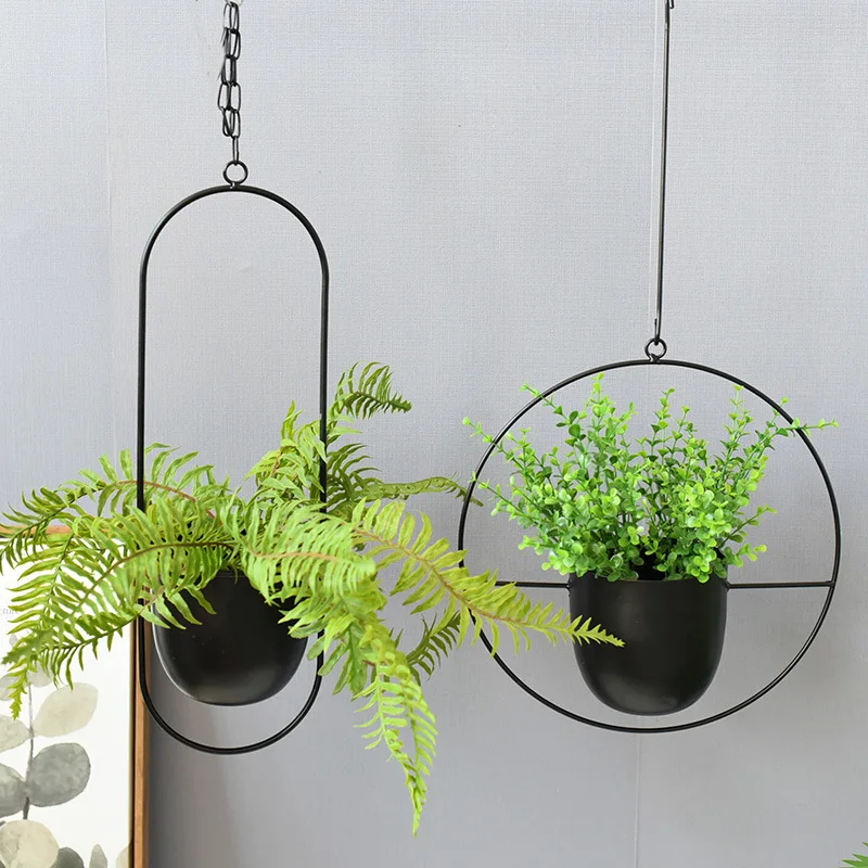 Wrought Iron Hanging Planter E - مراجعة Spider Plant Hanging وسعره