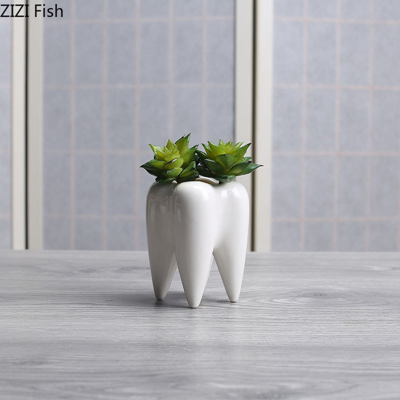 Tooth Shaped Ceramic Flower Po - مراجعة Echeveria Succulent وسعره