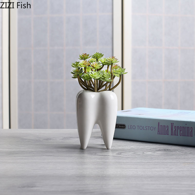 Tooth Shaped Ceramic Flower Po - مراجعة Echeveria Succulent وسعره
