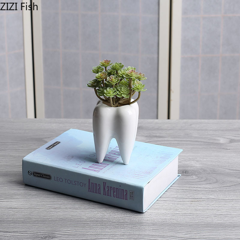 Tooth Shaped Ceramic Flower Po - مراجعة Echeveria Succulent وسعره