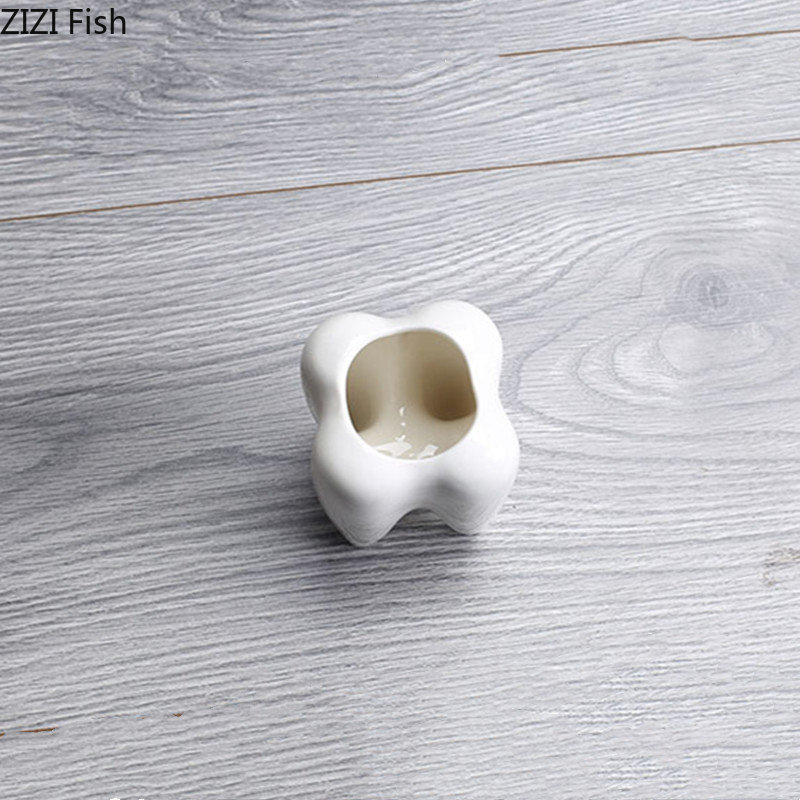 Tooth Shaped Ceramic Flower Po - مراجعة Echeveria Succulent وسعره