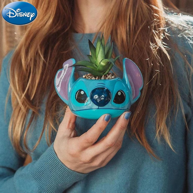 Disney Stitch Decorations Cute - مراجعة Echeveria Succulent وسعره