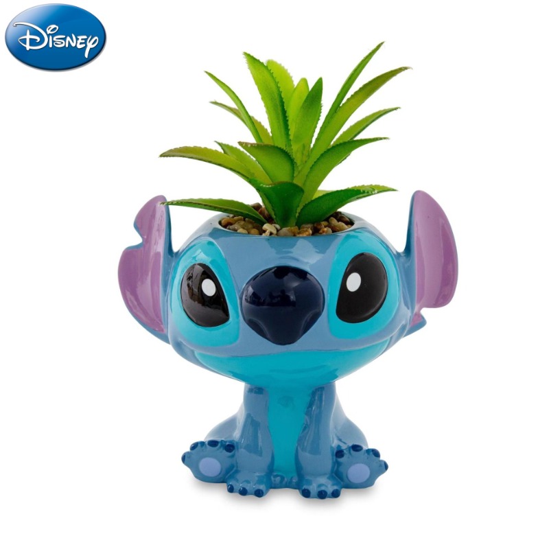 Disney Stitch Decorations Cute - مراجعة Echeveria Succulent وسعره