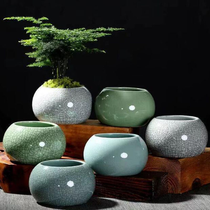 Creative Handmade Geyao Ice Cr - مراجعة Pilea Peperomioides وسعره