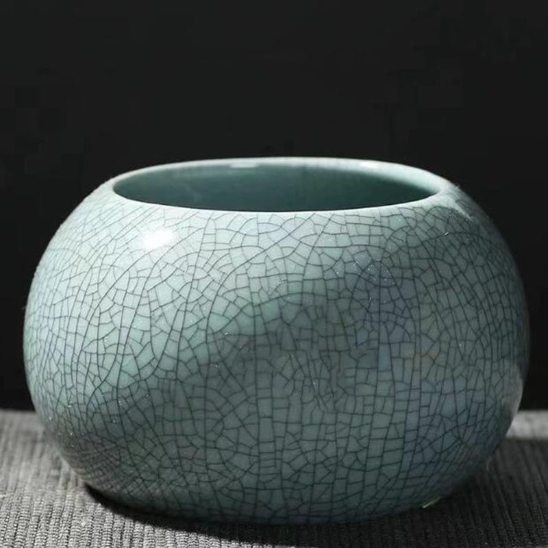 Creative Handmade Geyao Ice Cr - مراجعة Pilea Peperomioides وسعره
