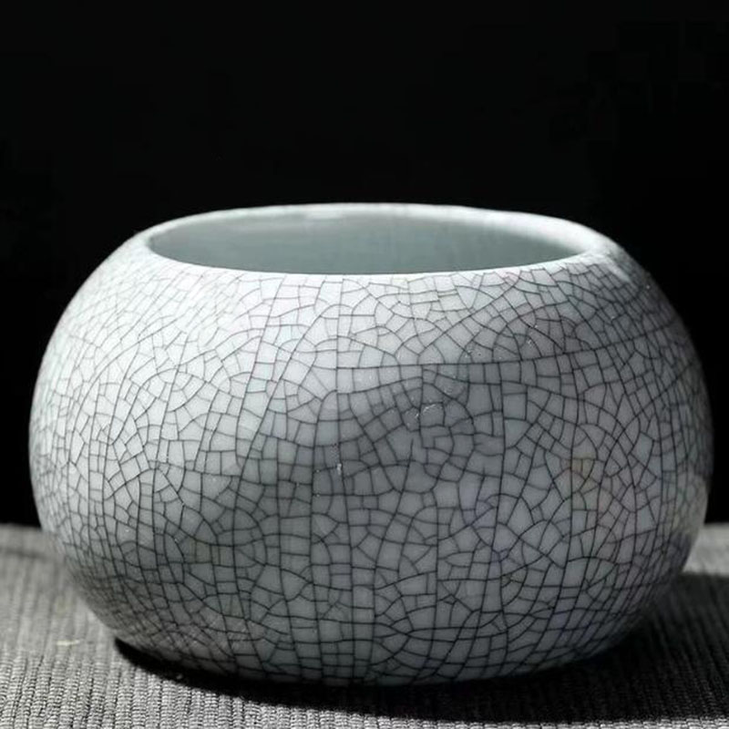 Creative Handmade Geyao Ice Cr - مراجعة Pilea Peperomioides وسعره