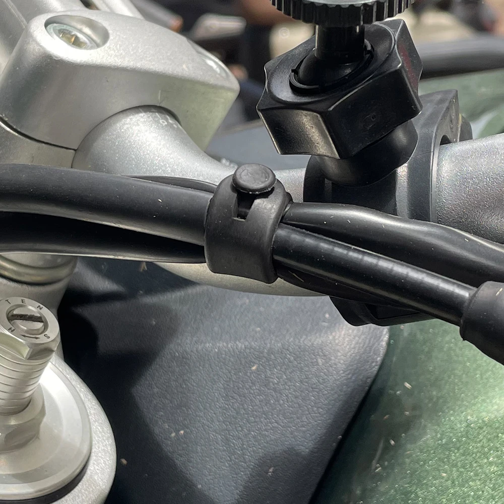 For Ducati Monster Multistrada - مراجعة Monstera Adansonii وسعره