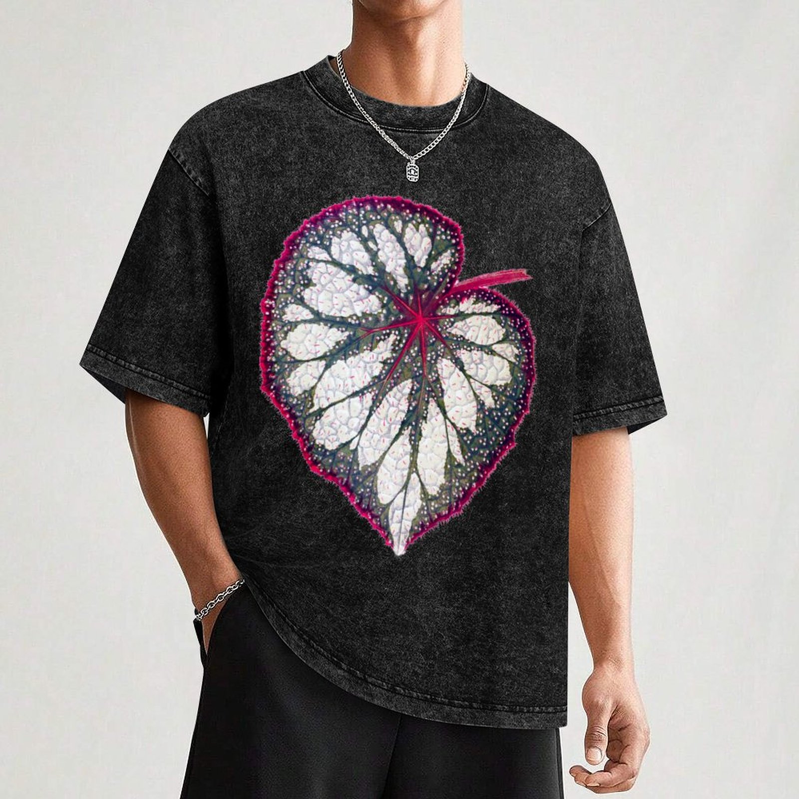 Begonia rex T-Shirt All Weathe - مراجعة Begonia Rex وسعره