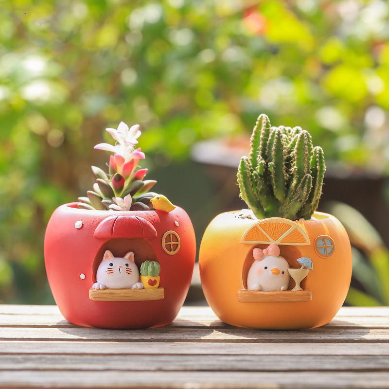 Cute Fruit Themed Planters for - مراجعة Echeveria Succulent وسعره