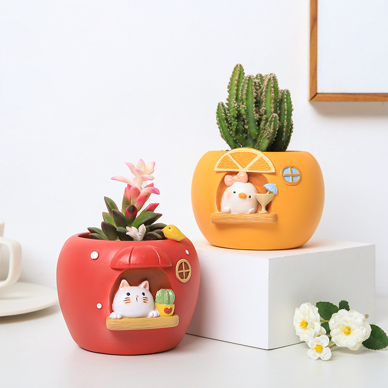 Cute Fruit Themed Planters for - مراجعة Echeveria Succulent وسعره