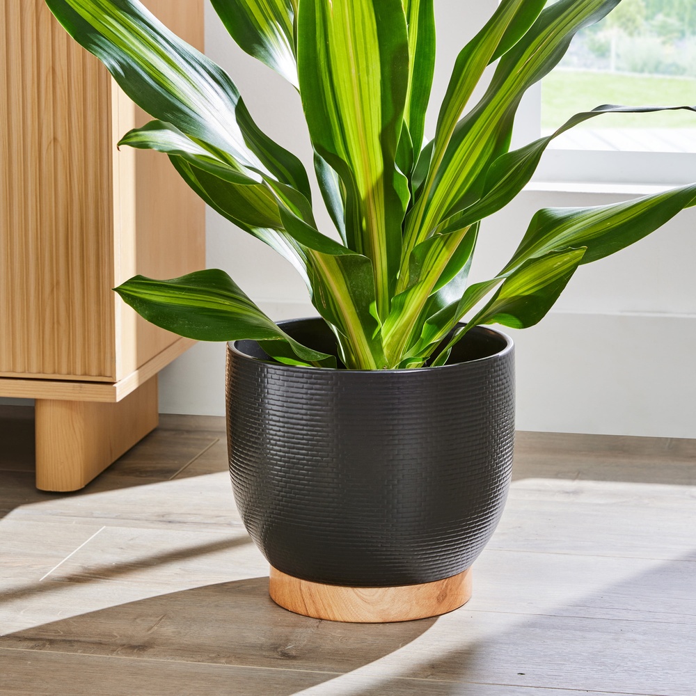 10 Inch Woven Black Ceramic Pl - مراجعة Aloe Vera Pot وسعره