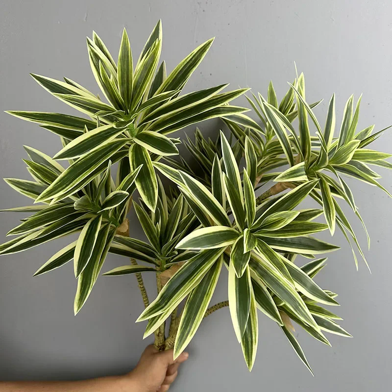 Artificial Green Plants Tropic - مراجعة Dracaena Marginata وسعره