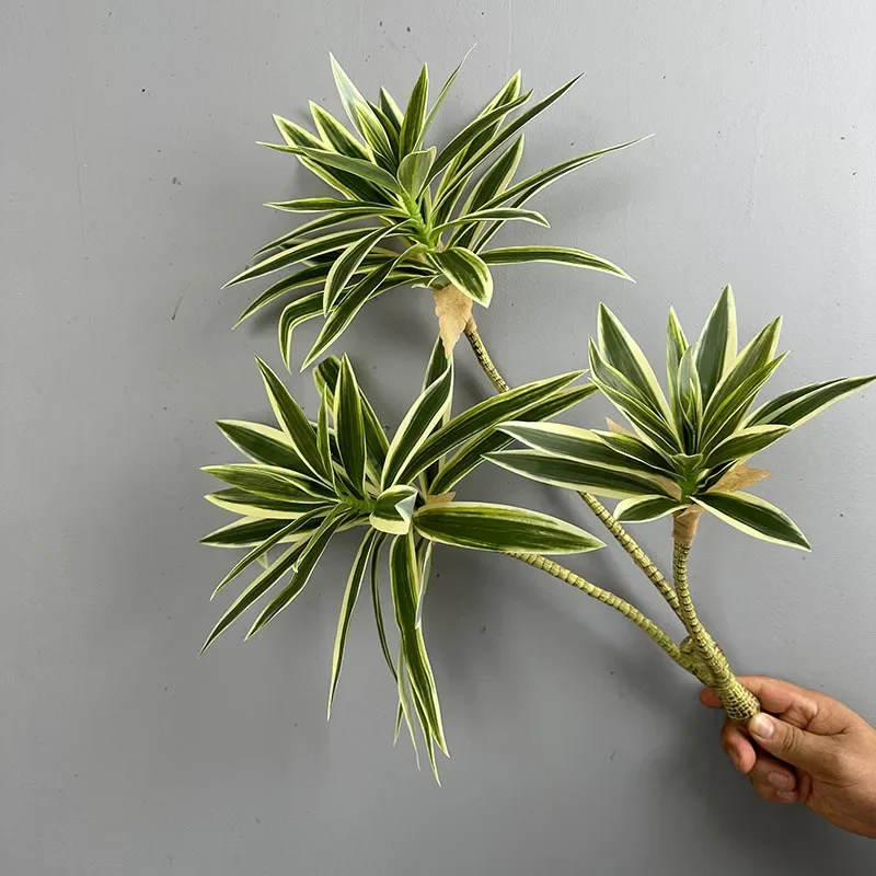 Artificial Green Plants Tropic - مراجعة Dracaena Marginata وسعره