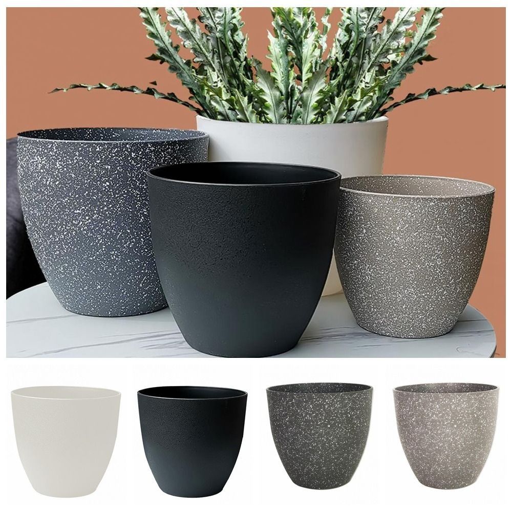 Frosted Imitation Stone Flower - مراجعة Aloe Vera Pot وسعره