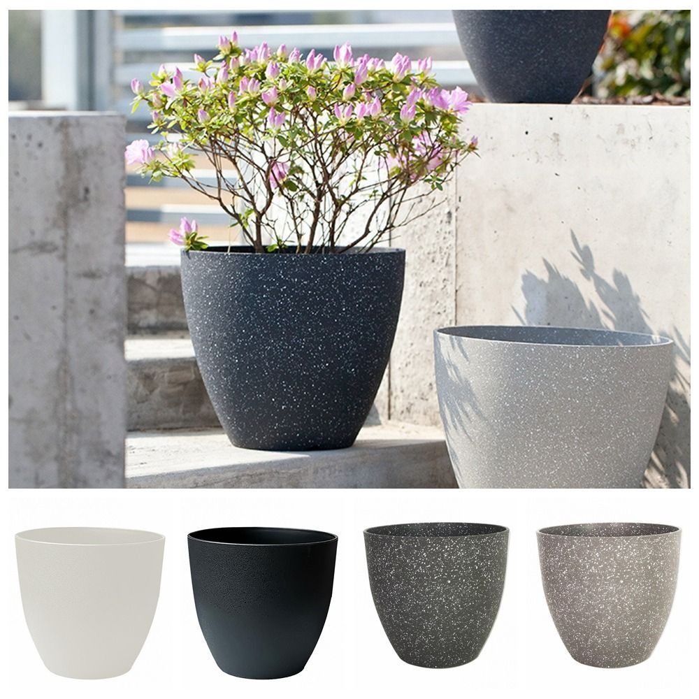 Frosted Imitation Stone Flower - مراجعة Aloe Vera Pot وسعره