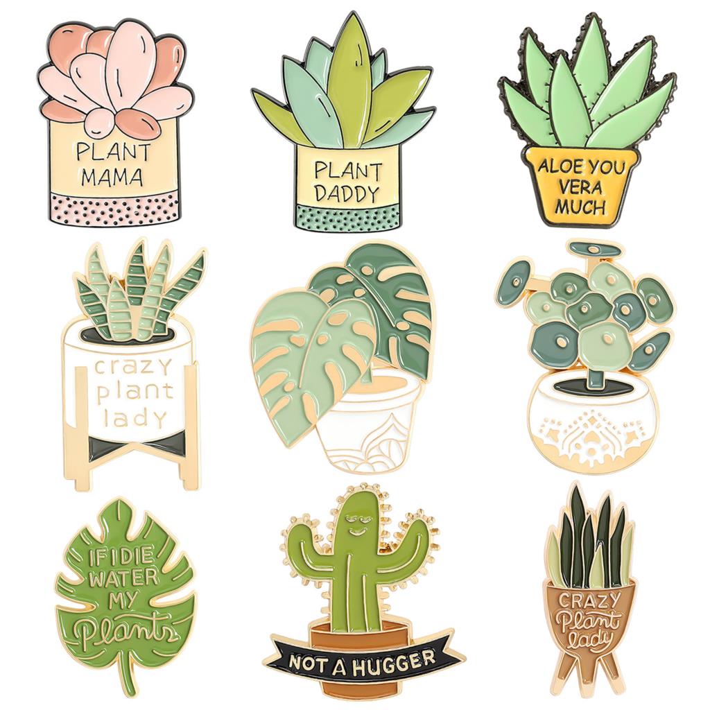Potted Plant Brooch Monstera A - مراجعة Aloe Vera Pot وسعره