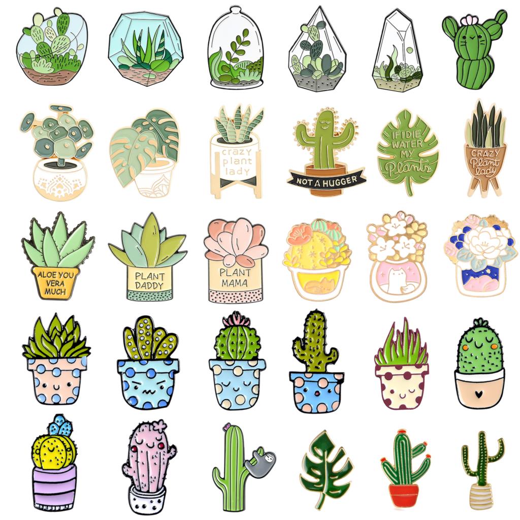 Potted Plant Brooch Monstera A - مراجعة Aloe Vera Pot وسعره