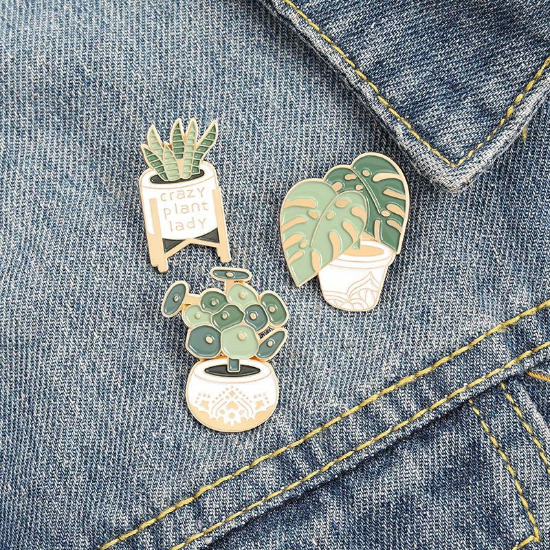 Potted Plant Brooch Monstera A - مراجعة Aloe Vera Pot وسعره
