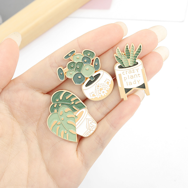 Potted Plant Brooch Monstera A - مراجعة Aloe Vera Pot وسعره