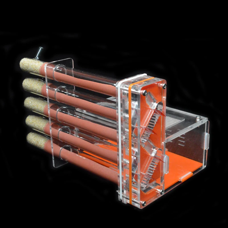 DIY Acrylic Ant Farm 5 pcs 18- - مراجعة Begonia Rex وسعره