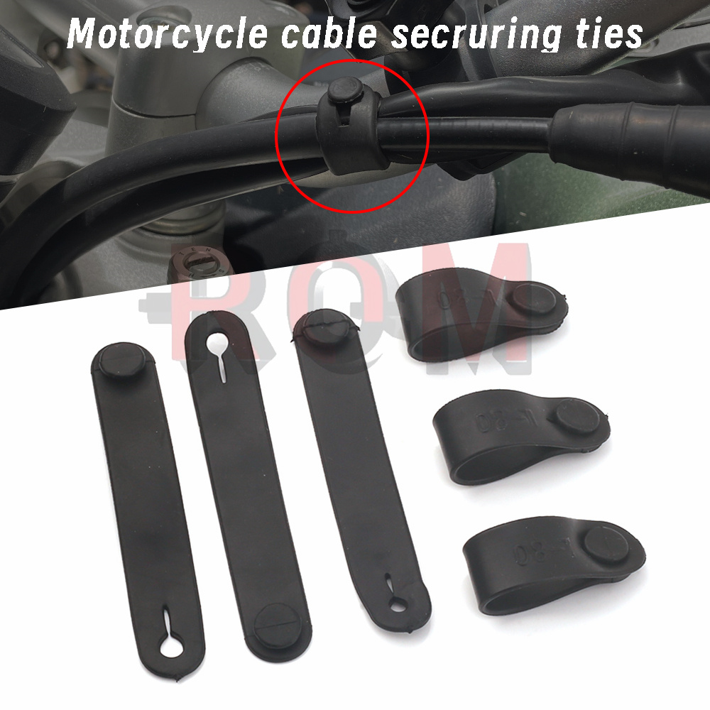 For Ducati Monster Multistrada - مراجعة Monstera Adansonii وسعره