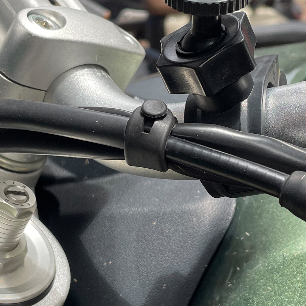 For Ducati Monster Multistrada - مراجعة Monstera Adansonii وسعره