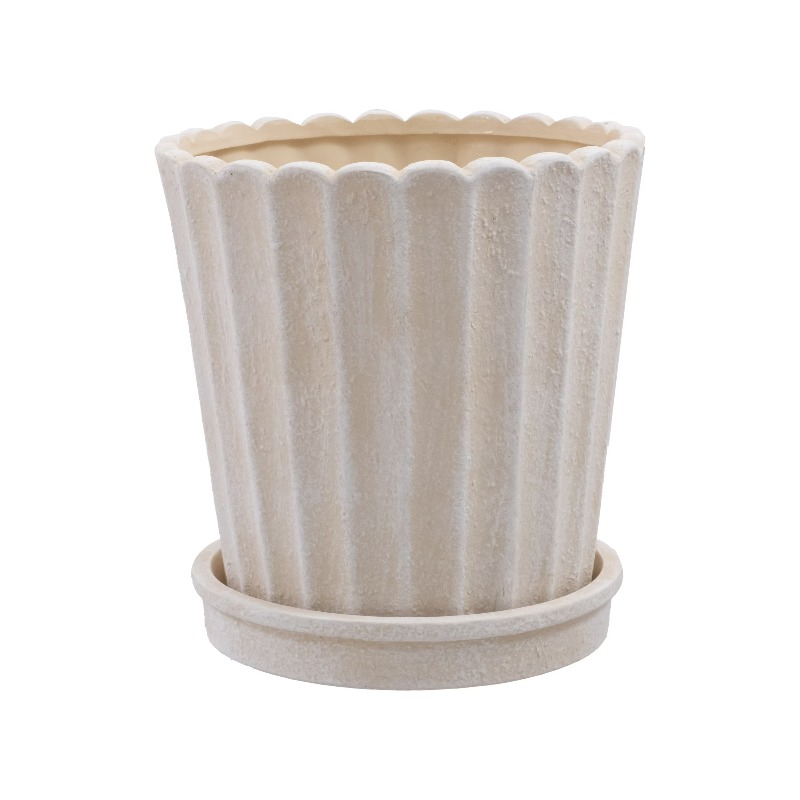 8 Inch Shell Planter Cream Cer - مراجعة Aloe Vera Pot وسعره