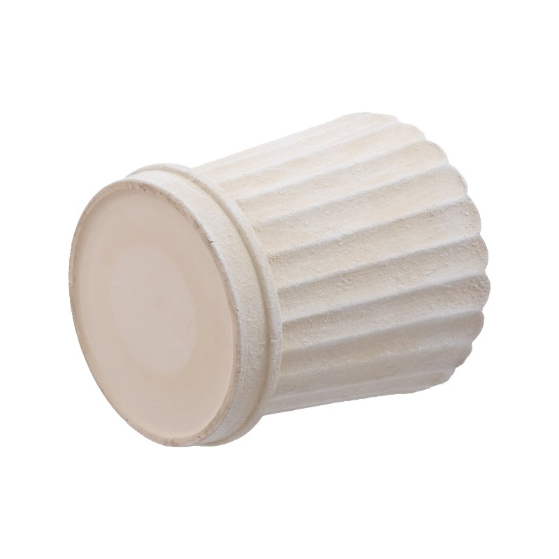 8 Inch Shell Planter Cream Cer - مراجعة Aloe Vera Pot وسعره