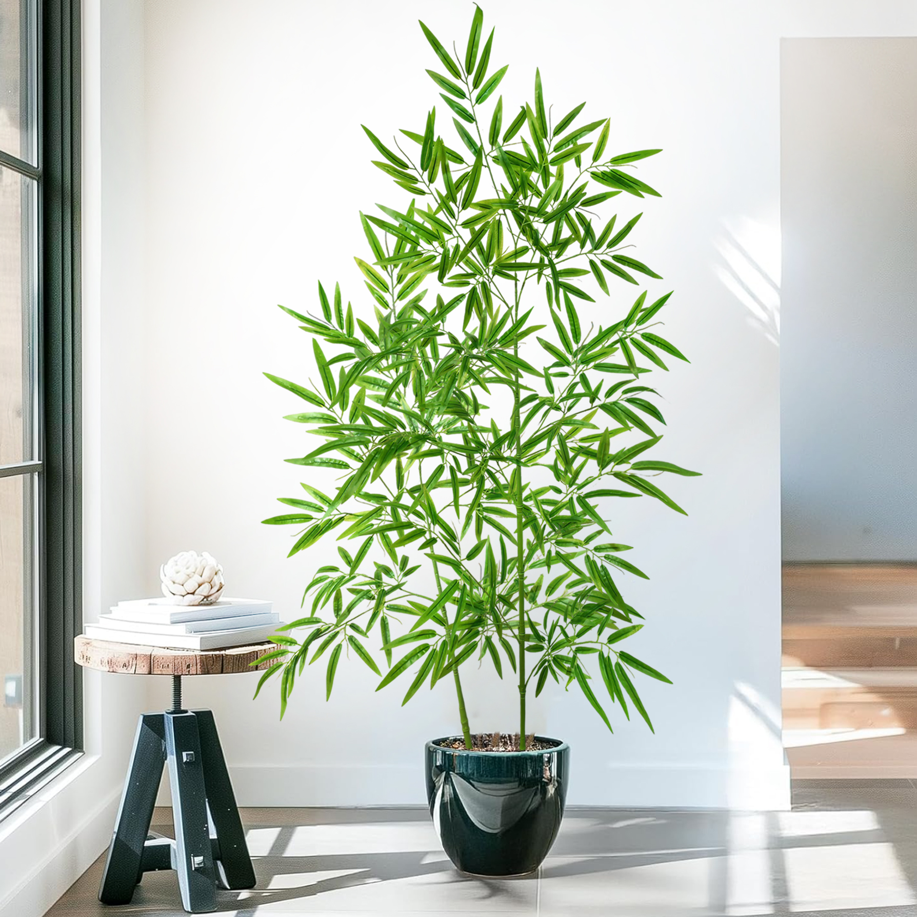100-240cm/94.4in Artificial ba - مراجعة Dracaena Marginata وسعره