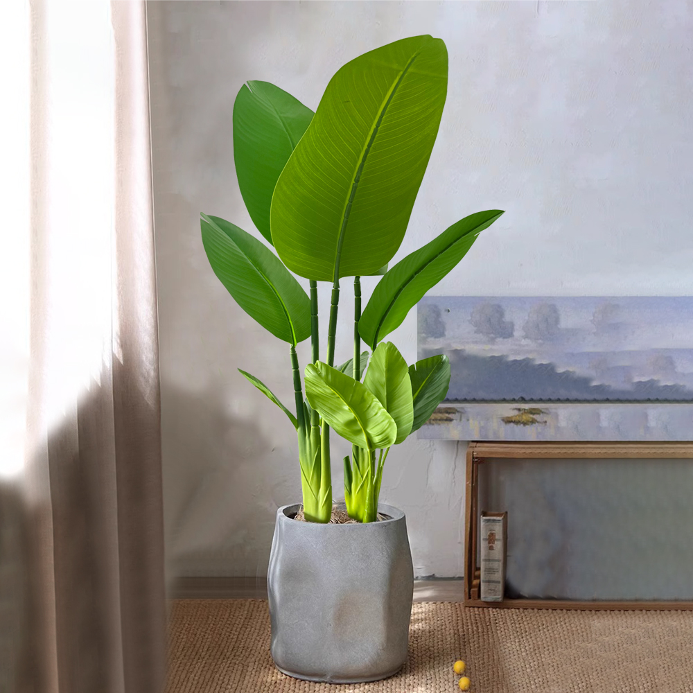 37-77cm Artificial Banana Tree - مراجعة Dracaena Marginata وسعره