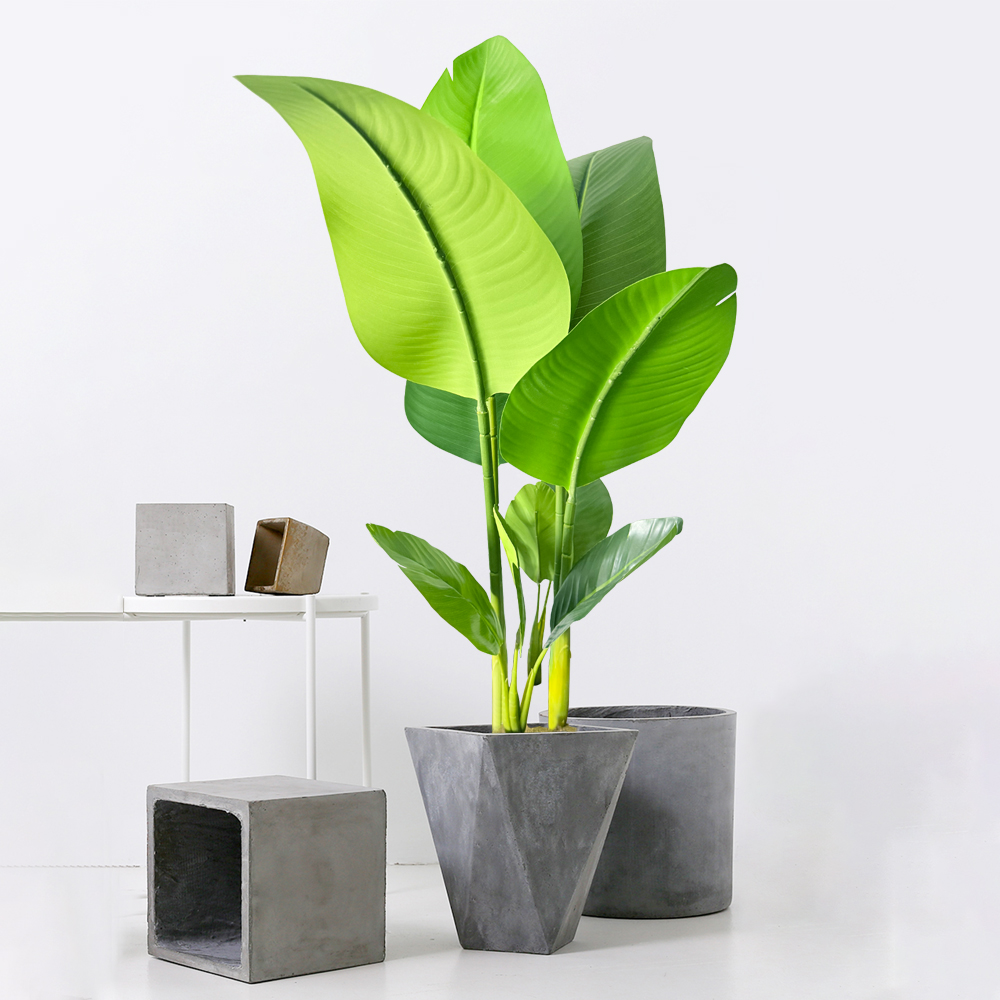 37-77cm Artificial Banana Tree - مراجعة Dracaena Marginata وسعره