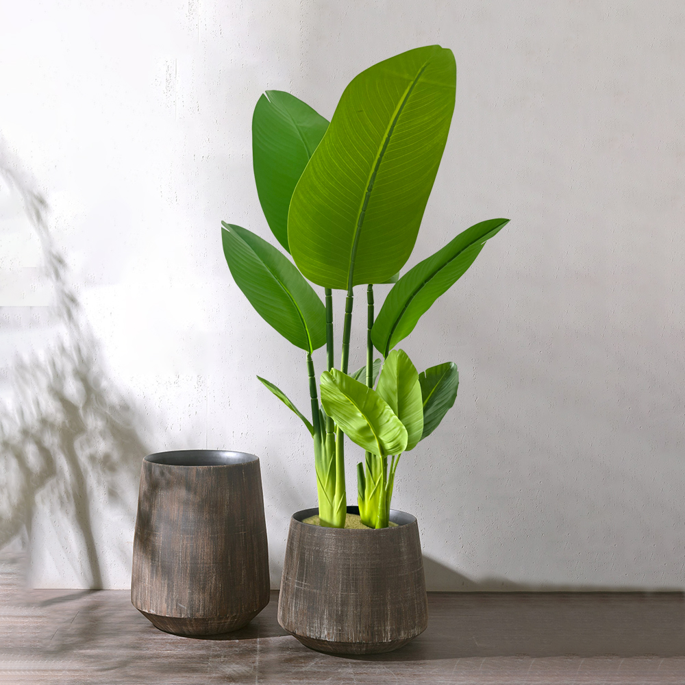 37-77cm Artificial Banana Tree - مراجعة Dracaena Marginata وسعره
