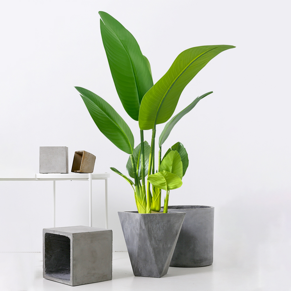 37-77cm Artificial Banana Tree - مراجعة Dracaena Marginata وسعره