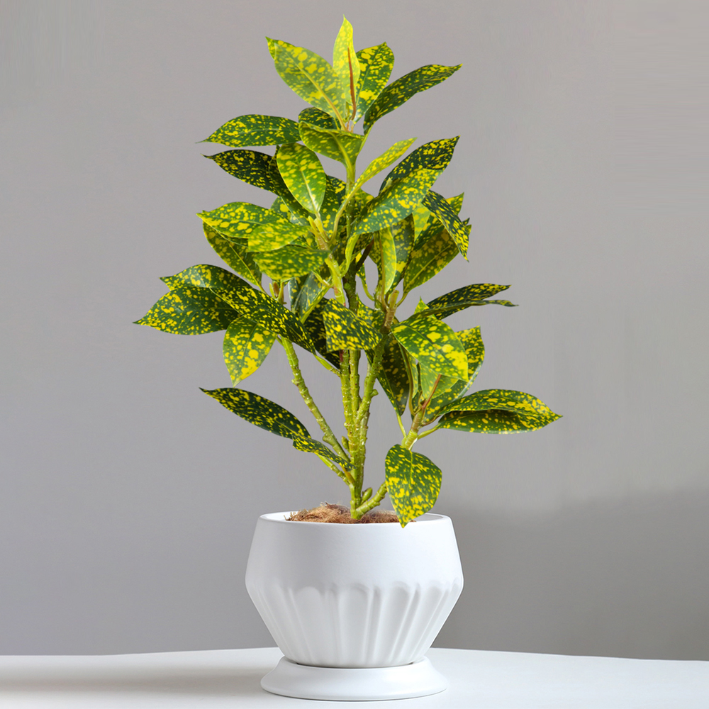 24-41cm Artificial Ficus Tree  - مراجعة Ficus Lyrata Tree وسعره